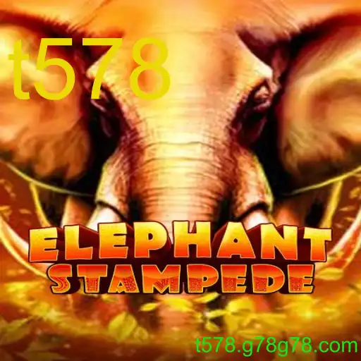 ElephantStampede